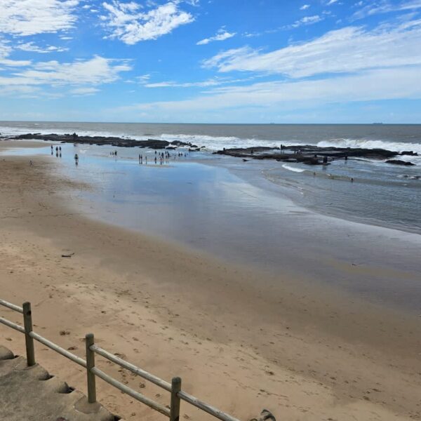 10Mountgreen_32